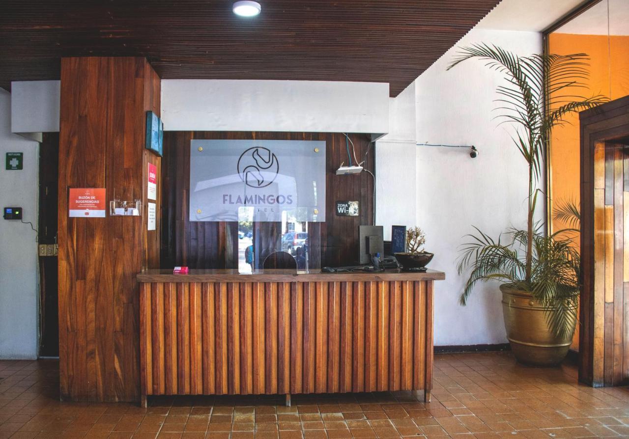 Hotel Flamingos Guadalajara Exterior foto